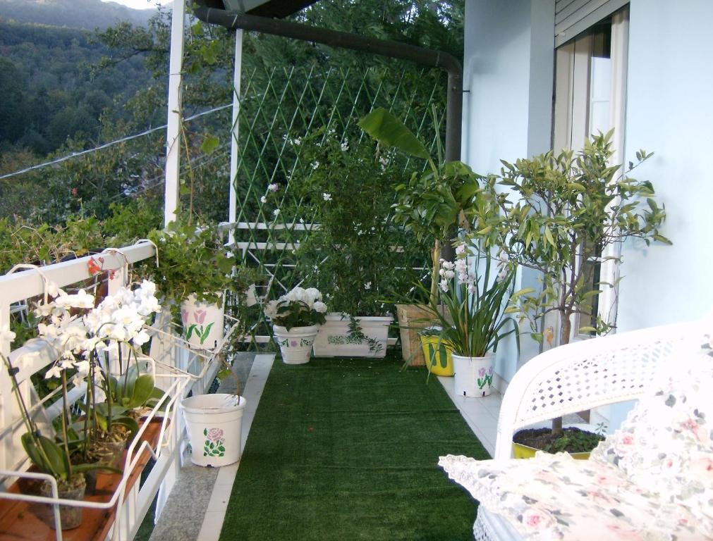 Il Giardino delle Farfalle Valgioie Esterno foto