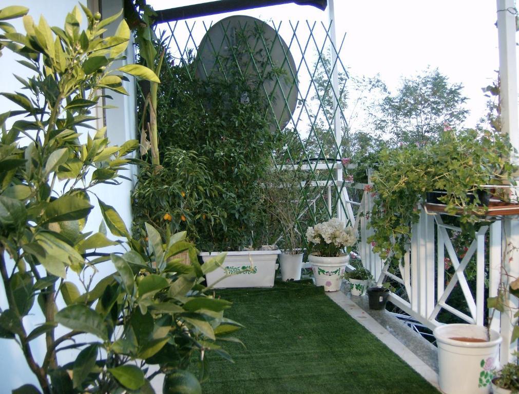 Il Giardino delle Farfalle Valgioie Esterno foto