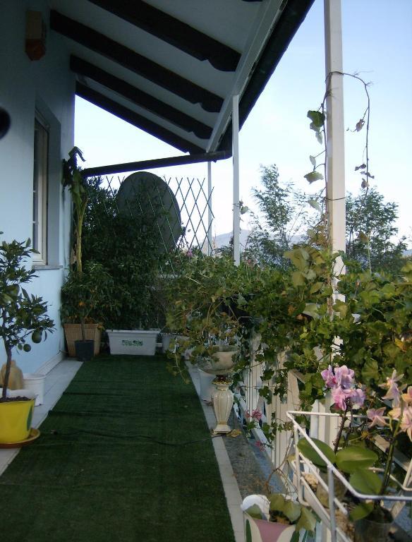 Il Giardino delle Farfalle Valgioie Esterno foto