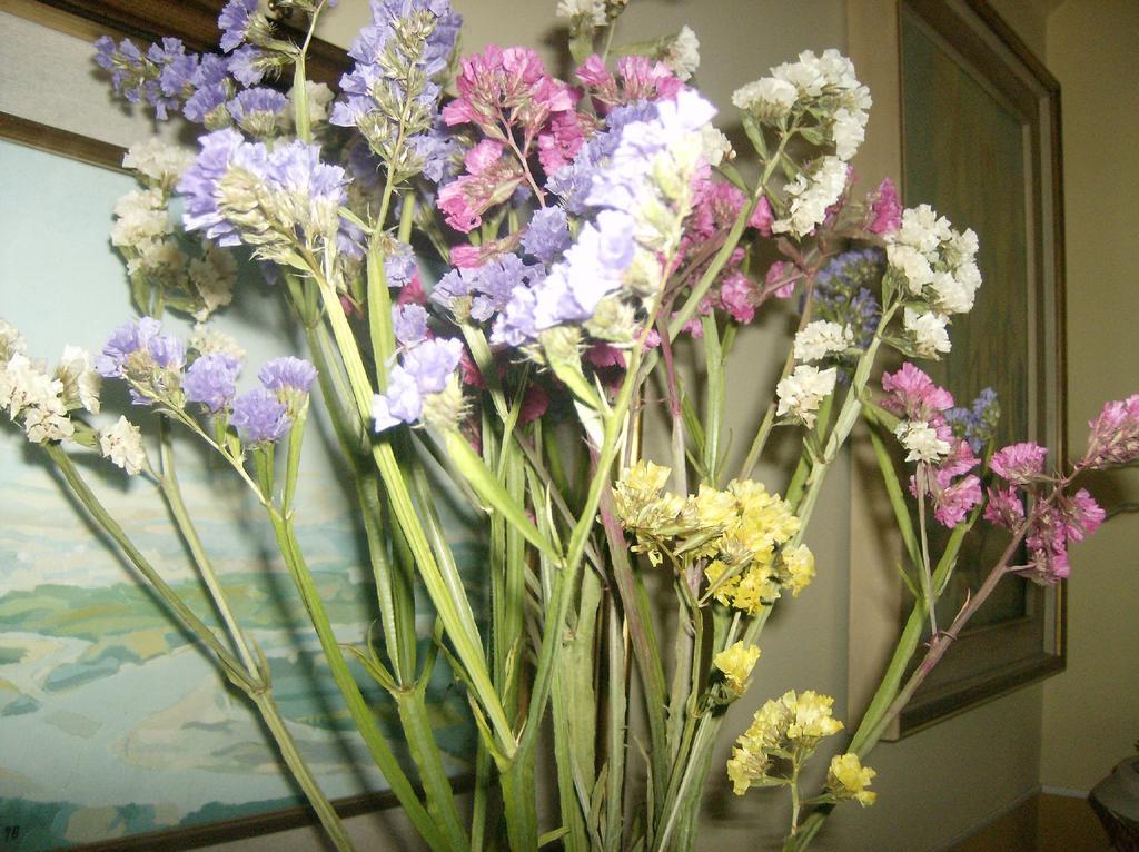 Il Giardino delle Farfalle Valgioie Esterno foto